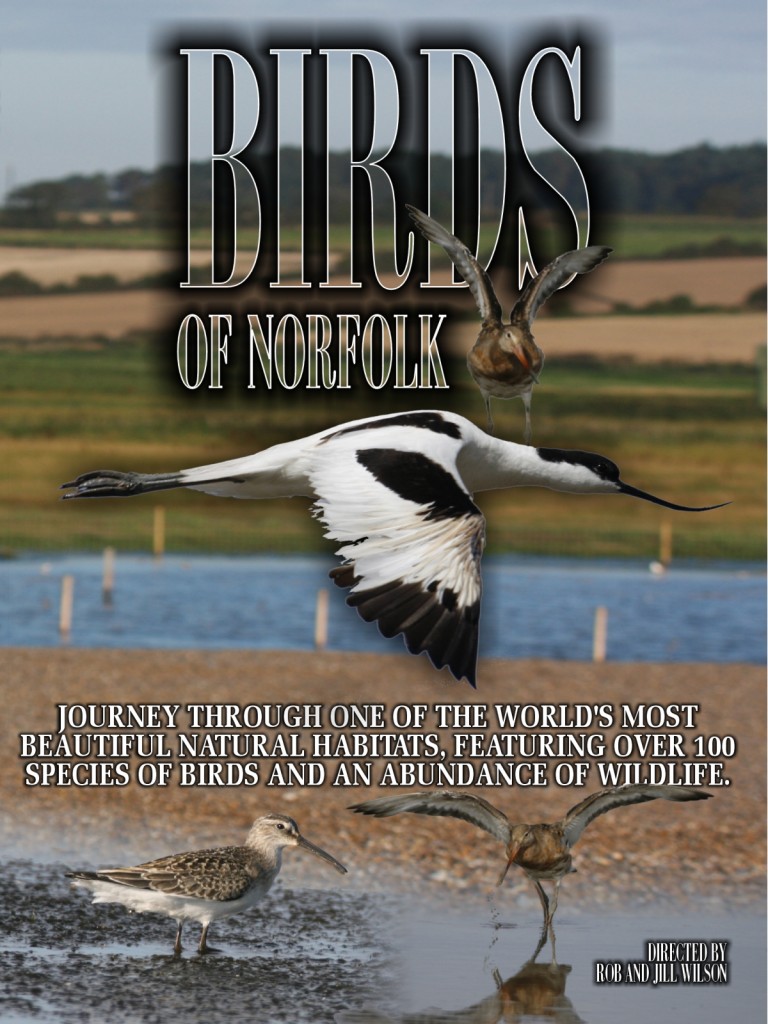 BIRDS_OF_NORFOLK