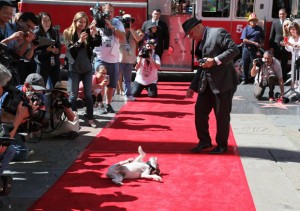 uggie5--a
